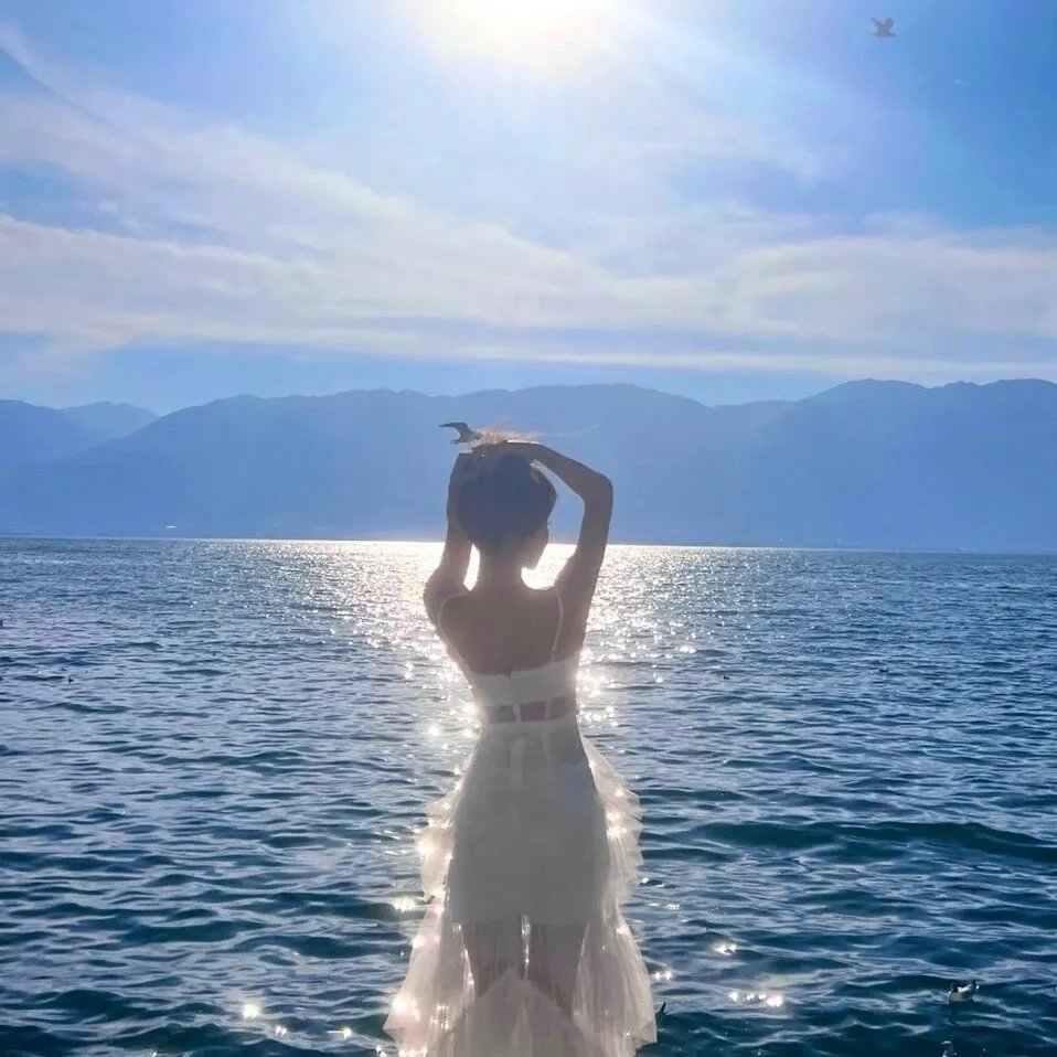 如果德川家康成为总理大臣